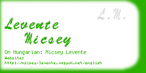 levente micsey business card